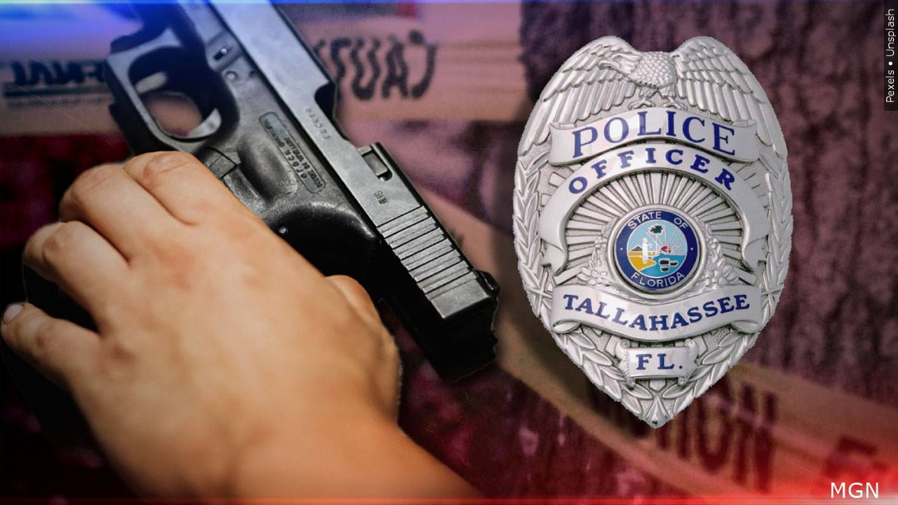 tpdgun.jpg