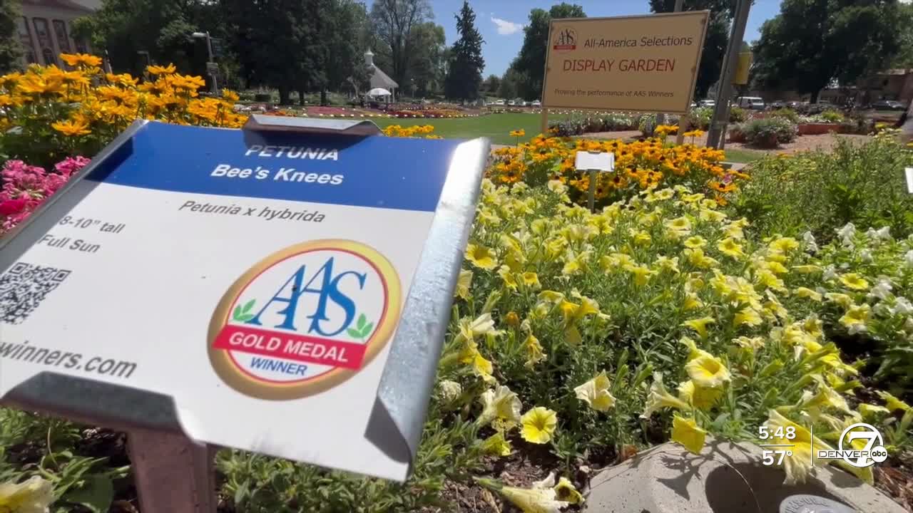 All-America Selections Display Garden.jpg