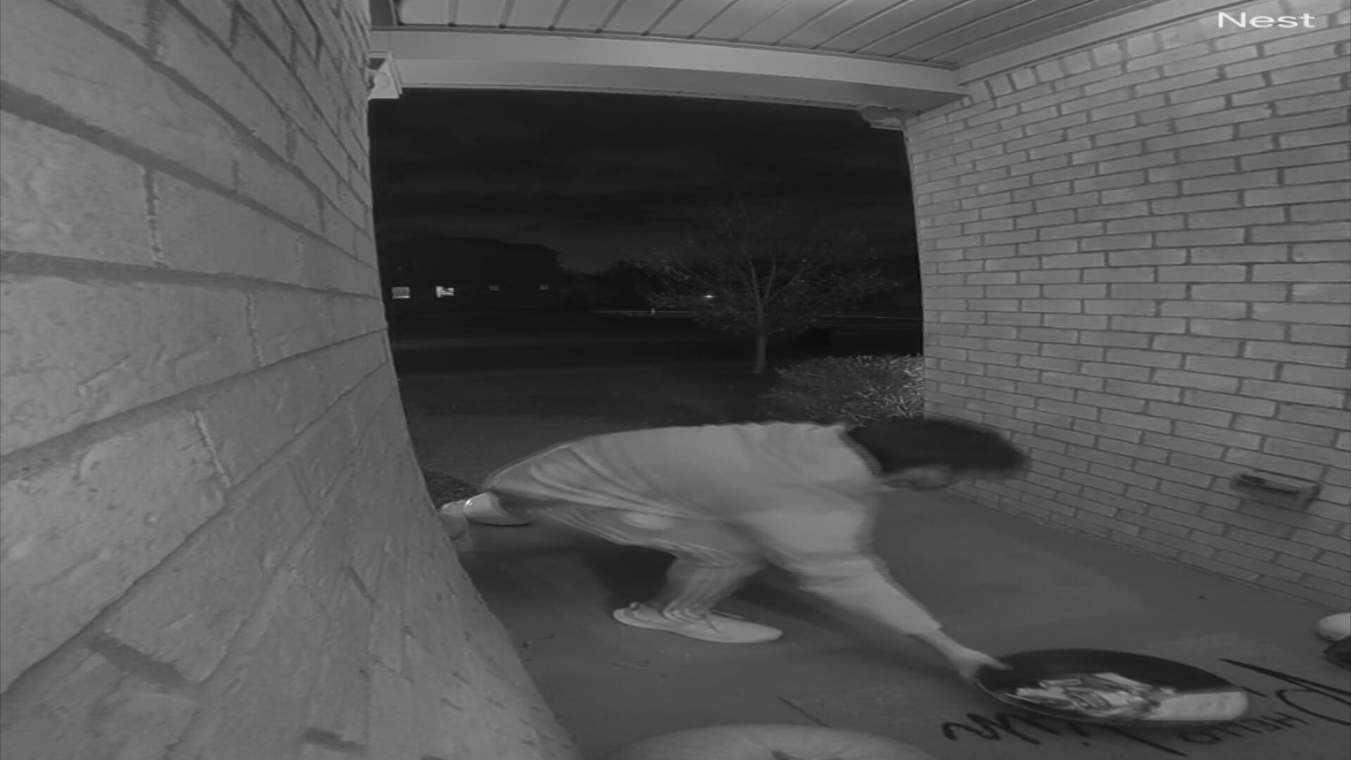 10P pkg NIKKI_ Candy Thieves_frame_927.jpeg