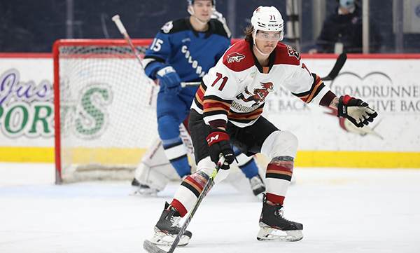 Chaz Reddekopp Tucson Roadrunners