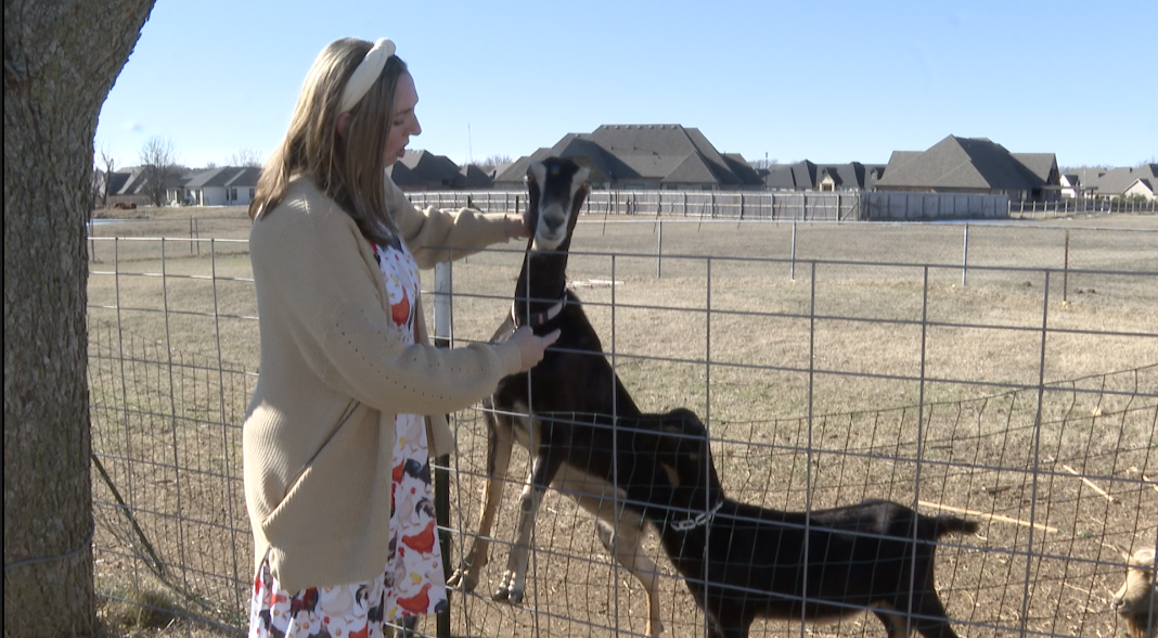 Leanne Cook with her goats