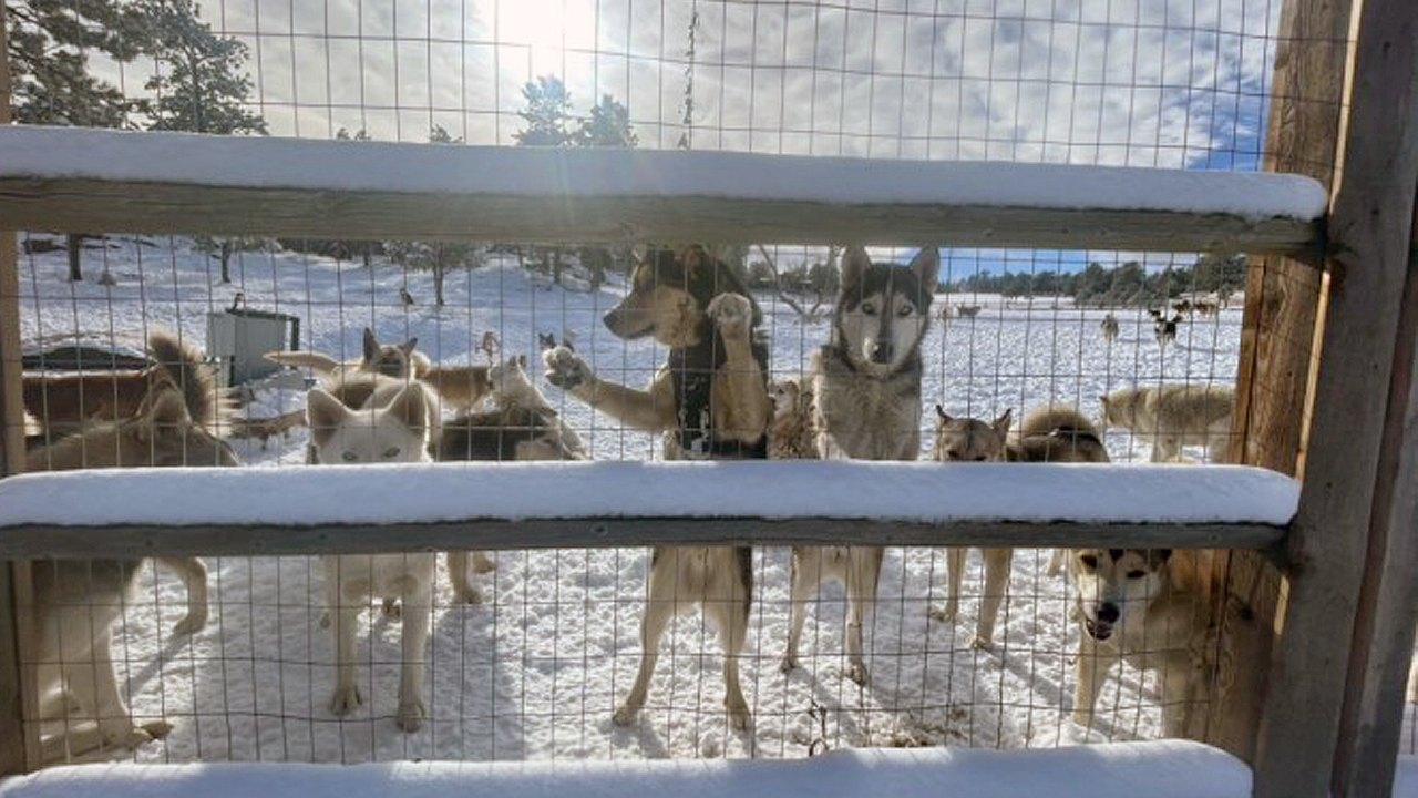 Just 4 Jacks Ranch & Sanctuary