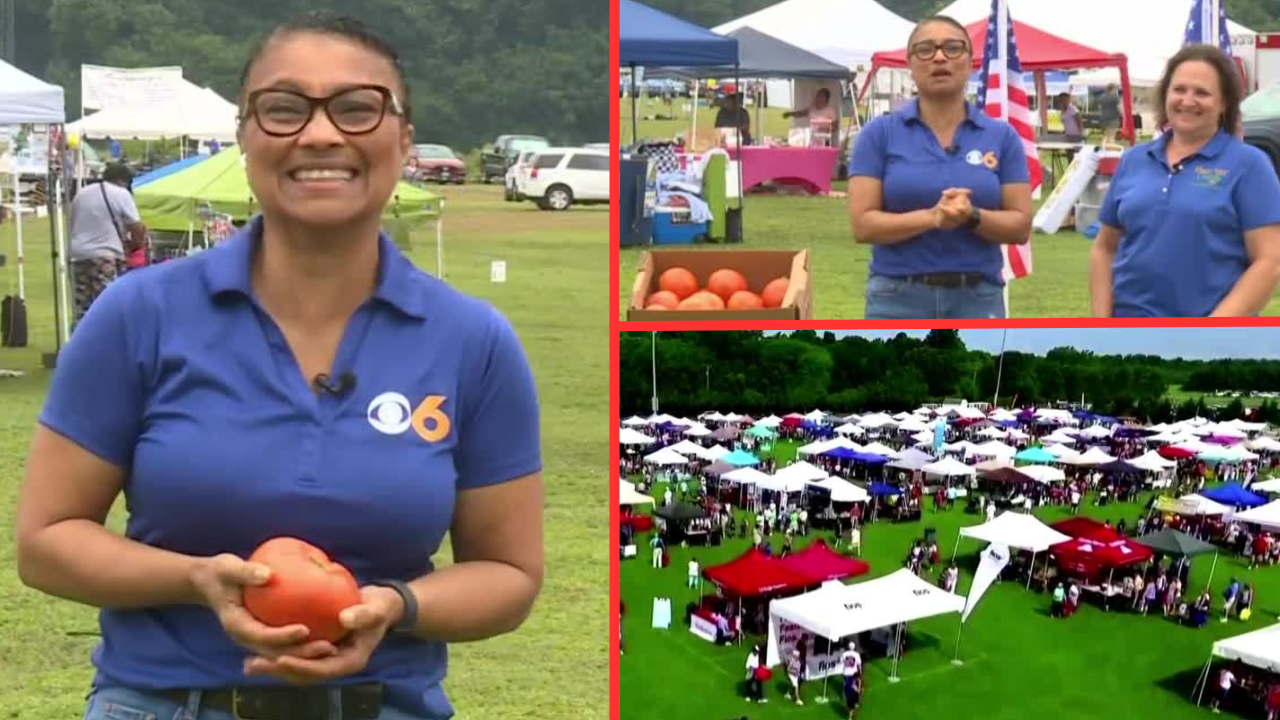 Hanover Tomato Festival 