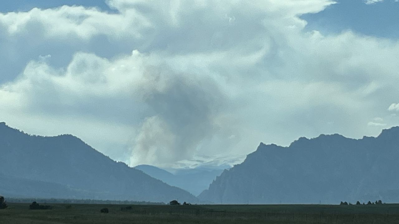 prescribed burn.png