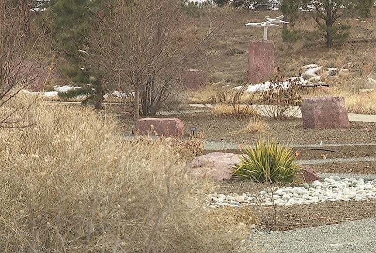 xeriscaping.jpg
