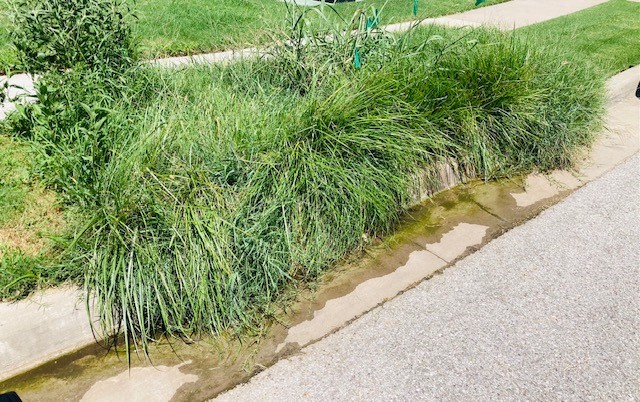 Bixby sewage leak