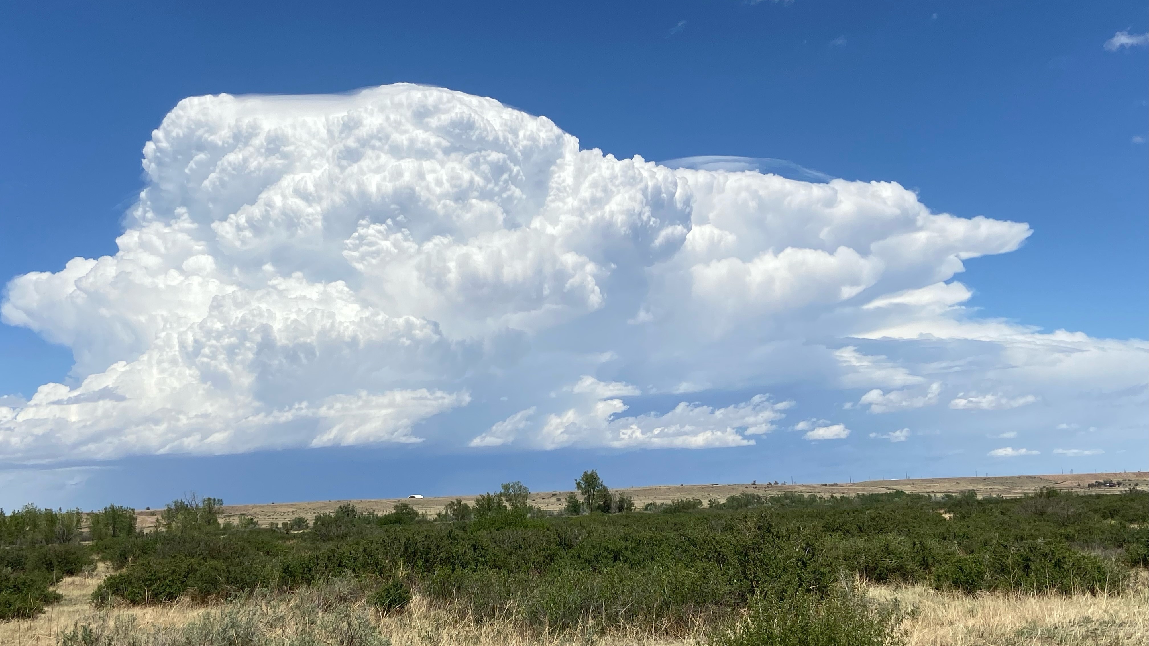 stephen maxwell el paso county