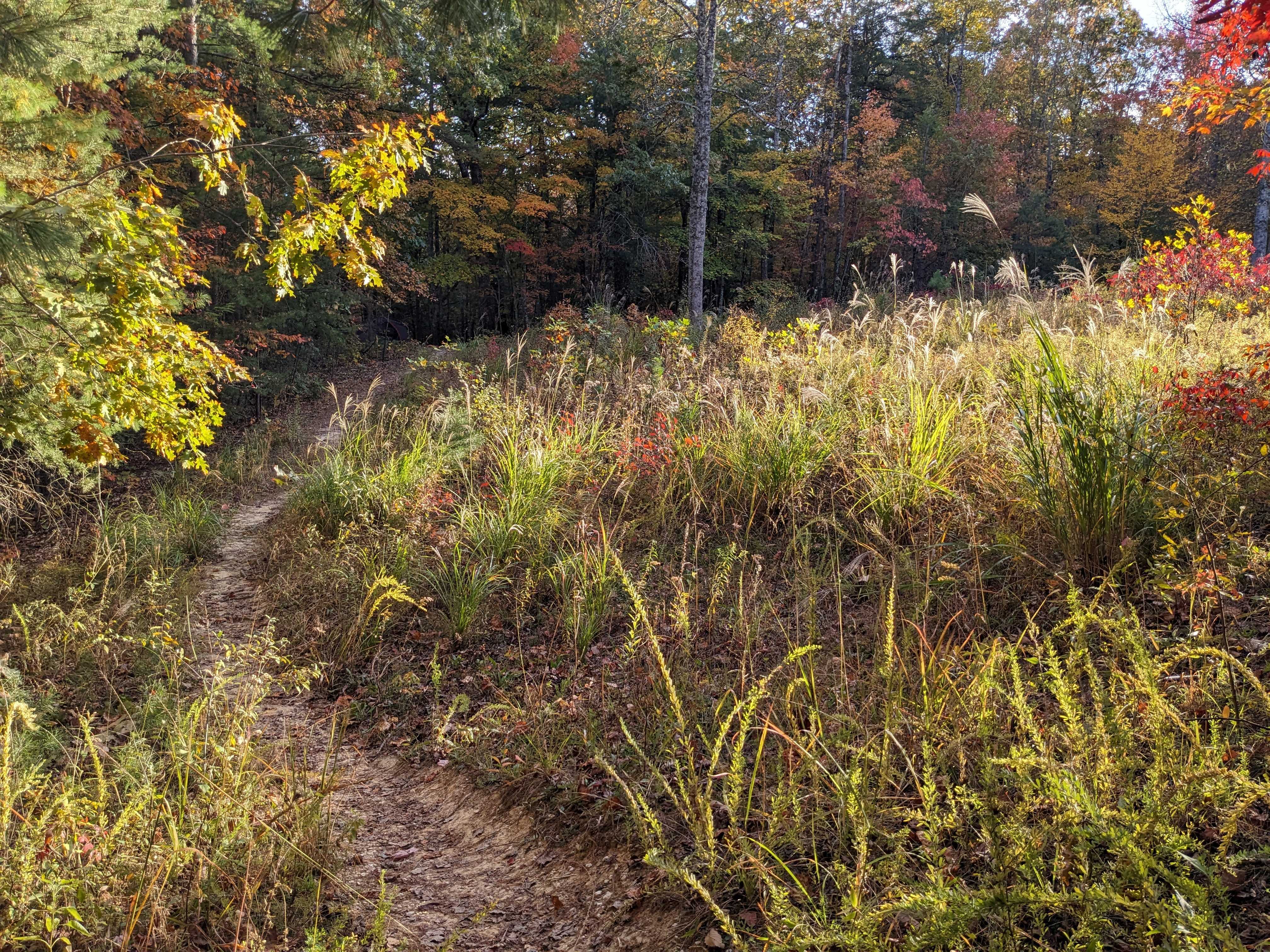 Red River Gorge