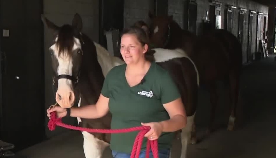Equine.jpg
