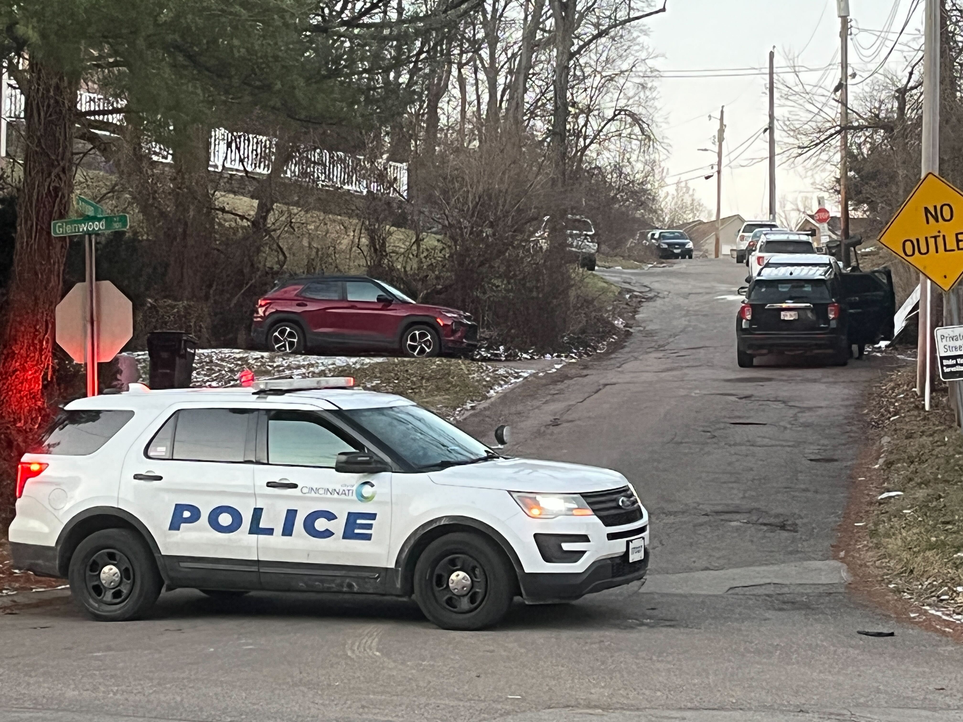 Avondale murders