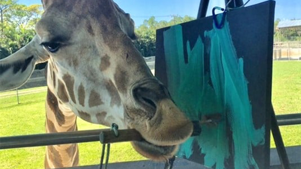 WPTV-MOSI-PAINTING-GIRAFFE.jpg