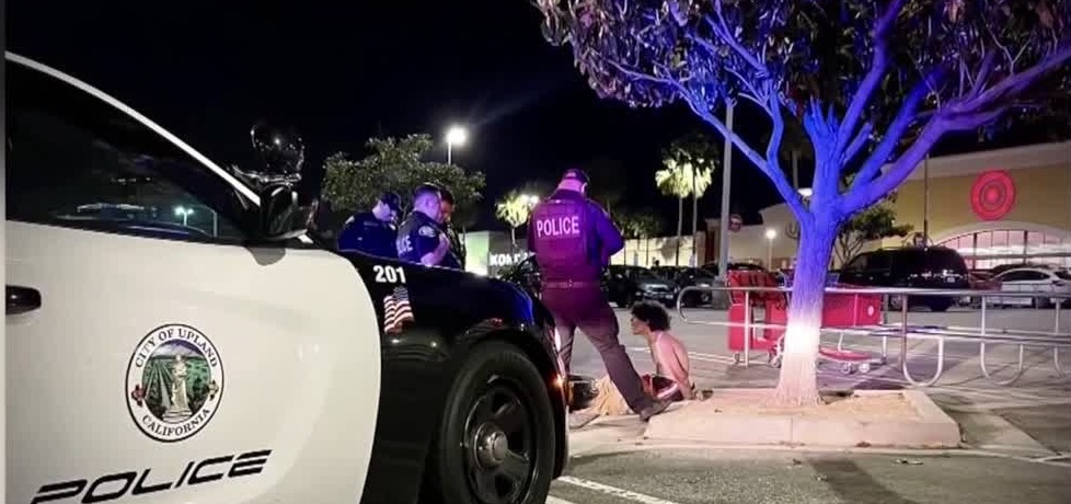 Man arrested for stealing Legos