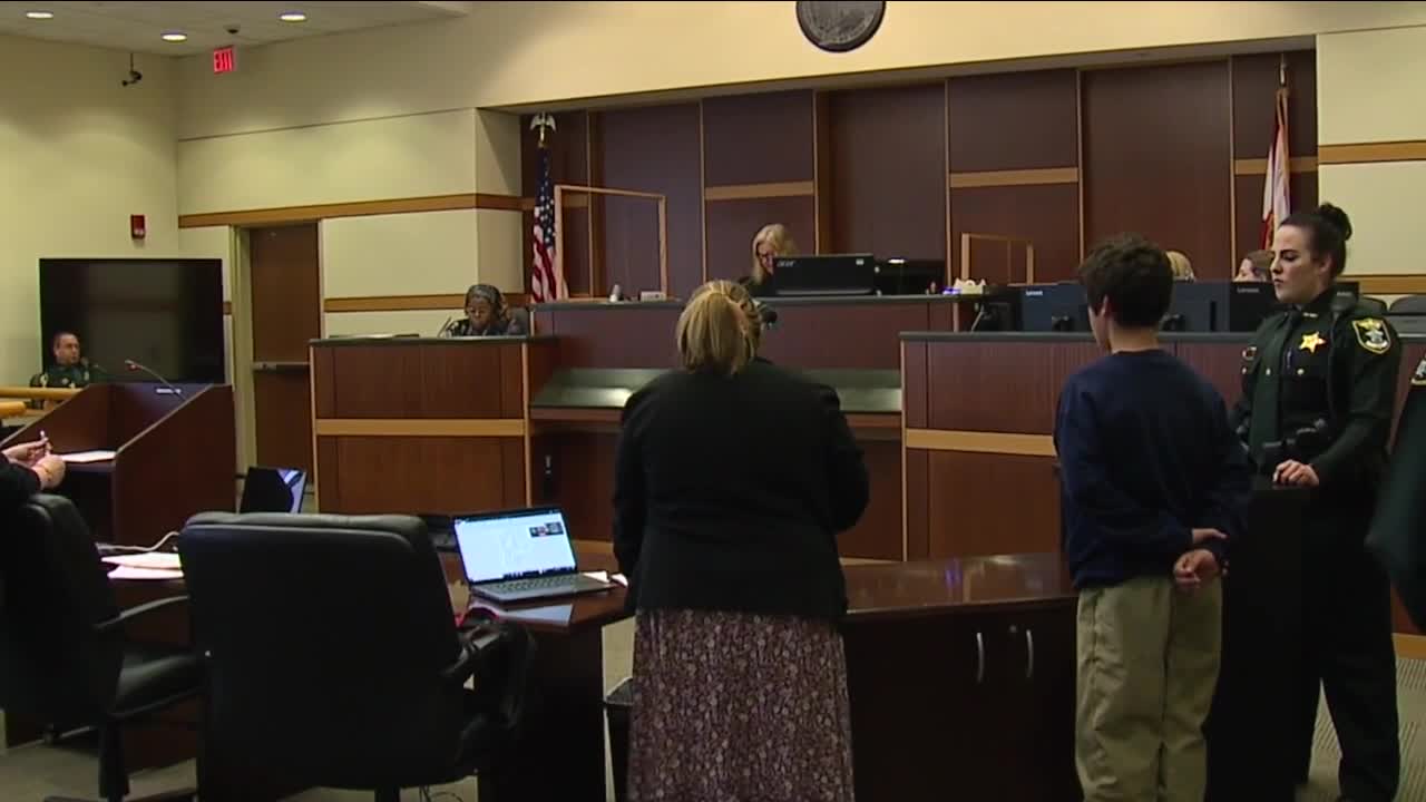 Boys accused of gun theft appear in court