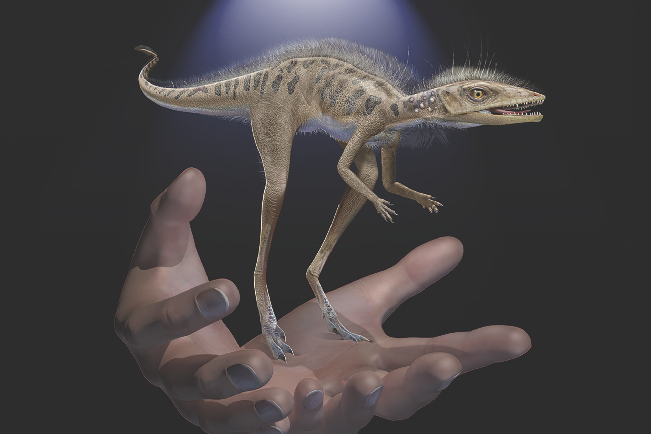 Fossils reveal dinosaur forerunner smaller than a cellphone