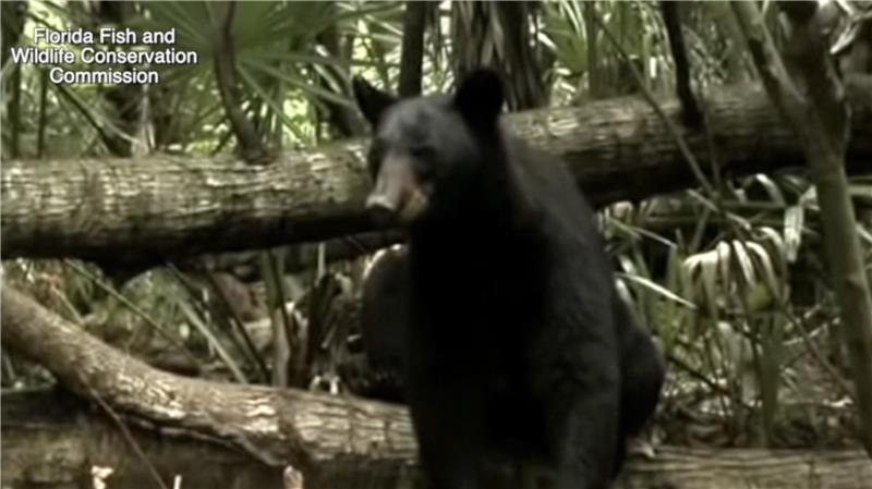 Screenshot 2025-12-29 at 11.15.15 PM.png