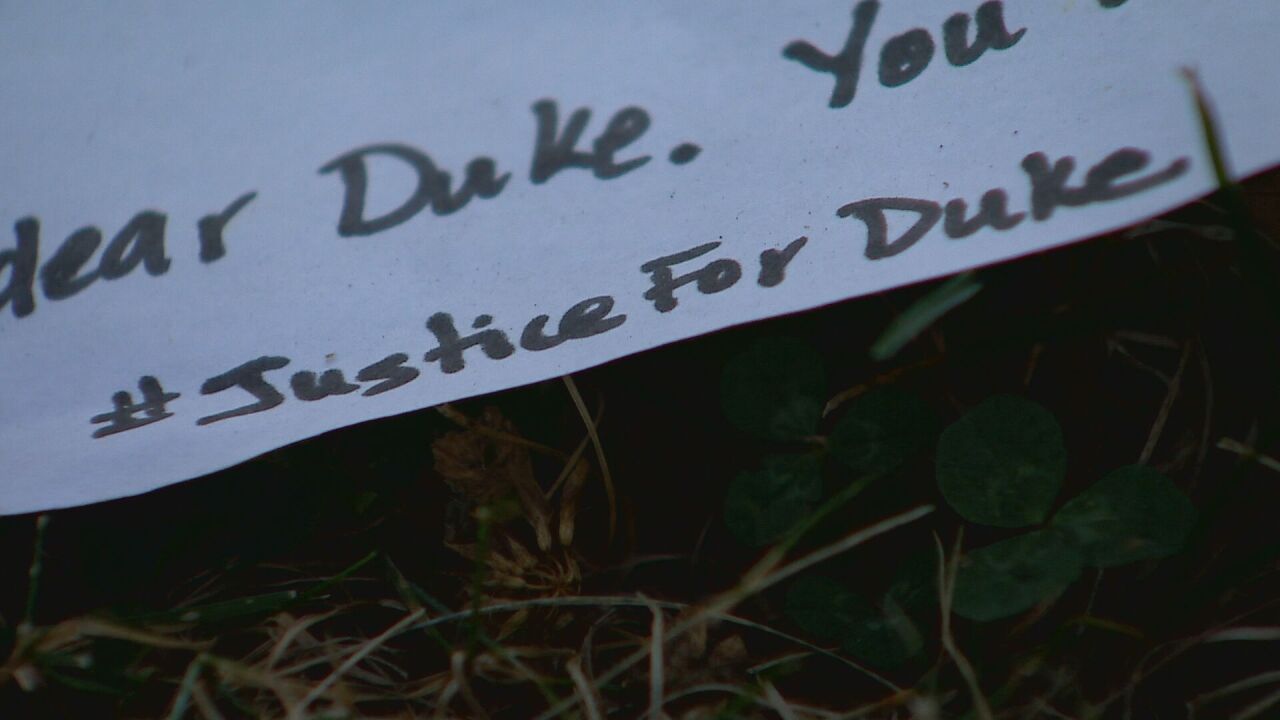duke.jpeg