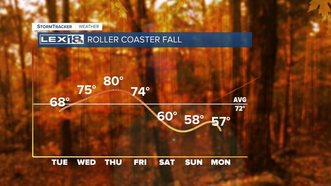 Roller coaster fall