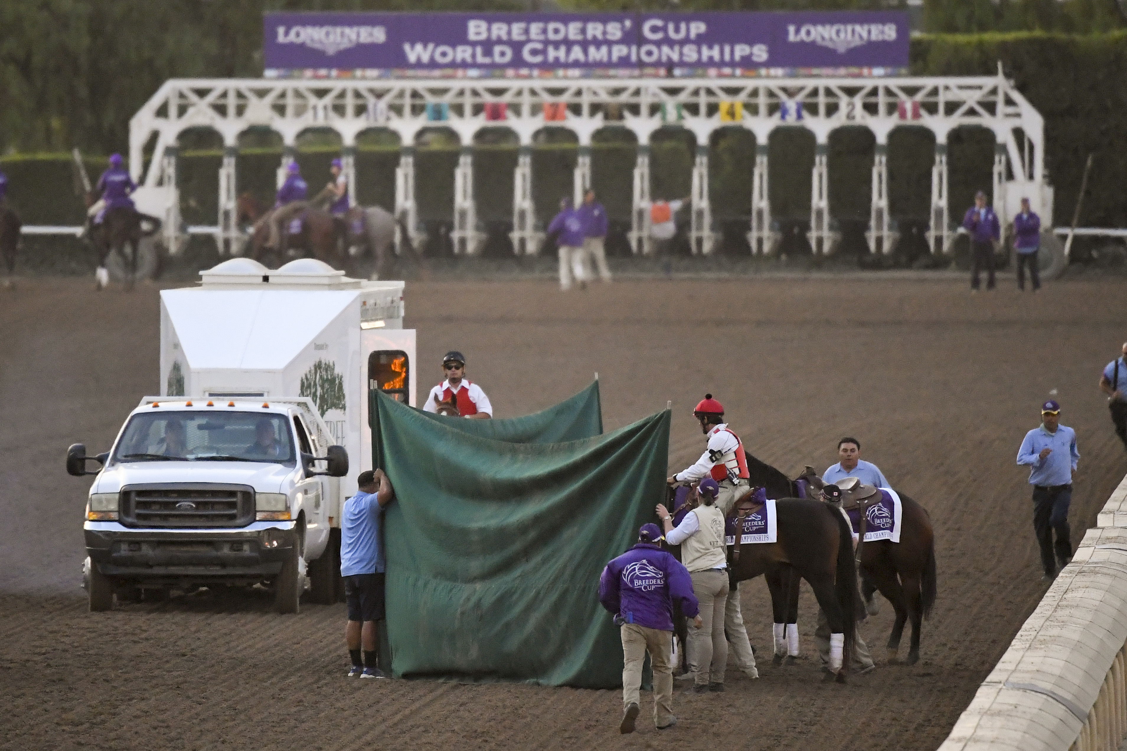 Breeders Cup Classic Horse Racing