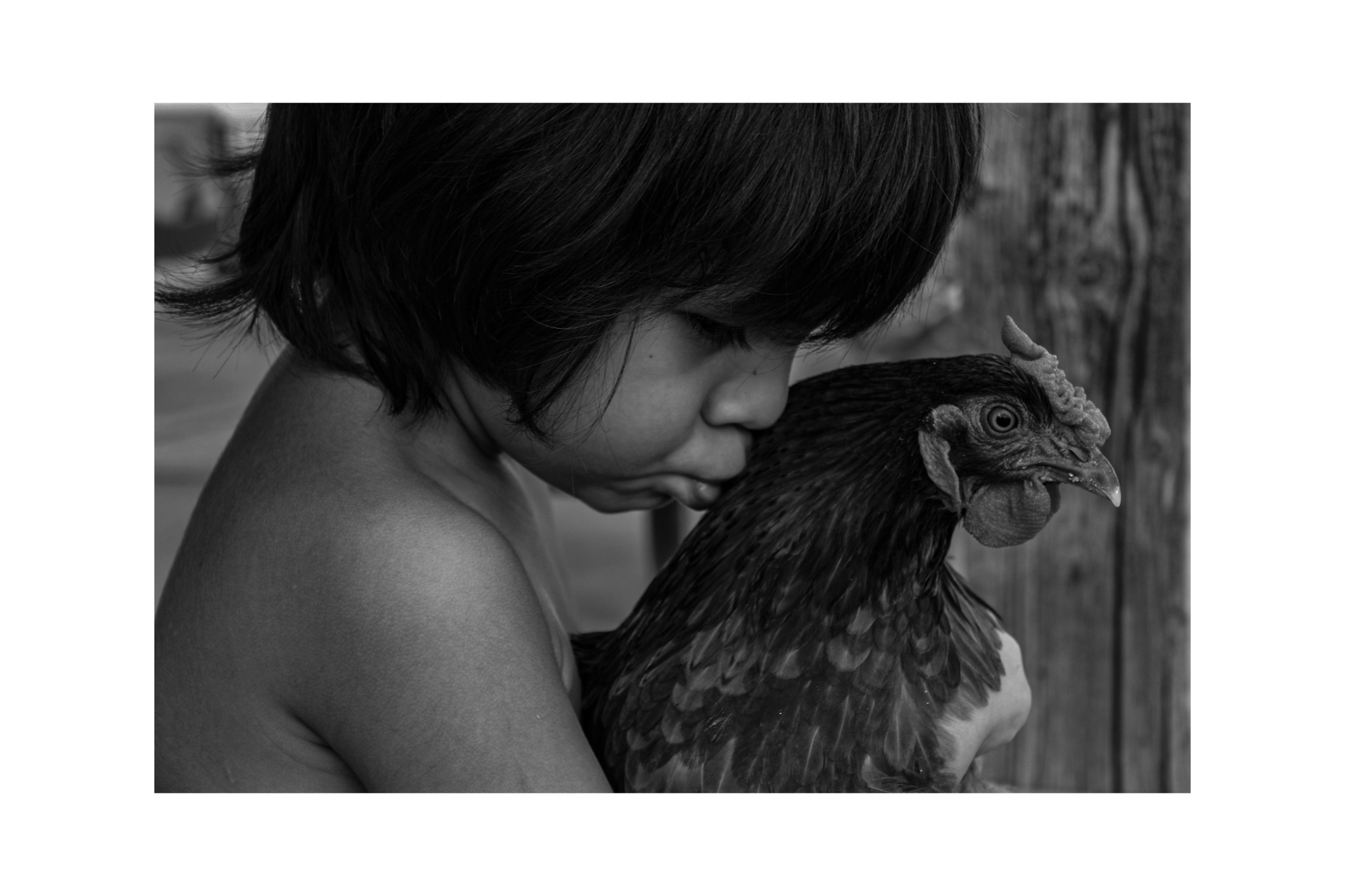 "Boy with Chicken" won Tucson High School junior Karissa Morales second place in the Nature Conservancy's "Adventure in Nature" photo contest.