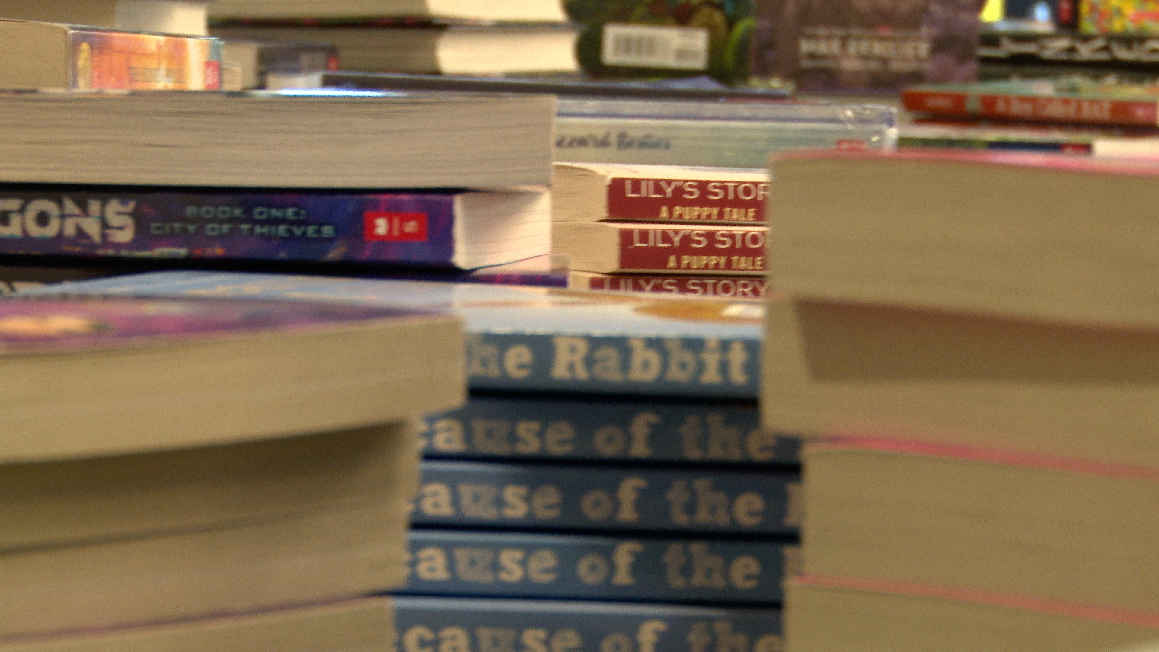 BOOK FAIR PIC.jpg