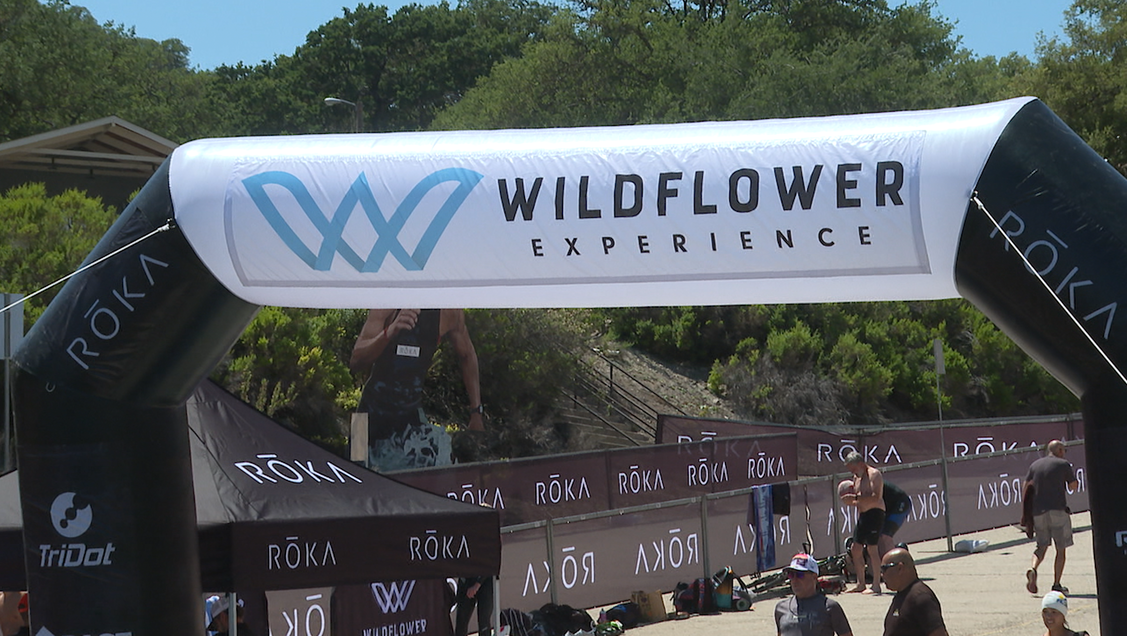 Wildflower experience.png