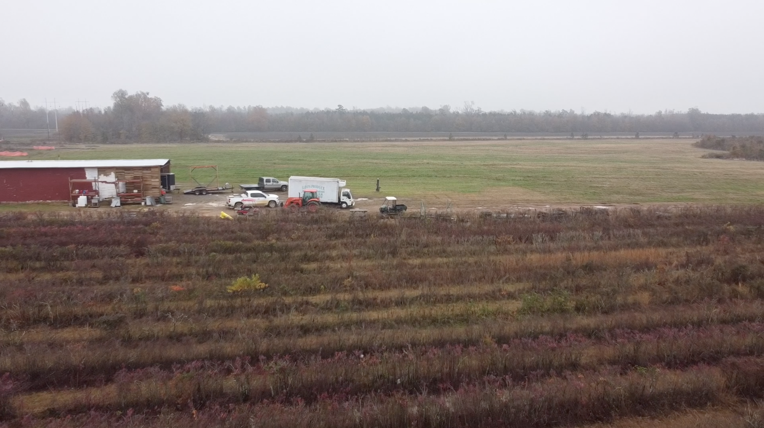 Blueberry farmers adapt to changing weather, climate patterns