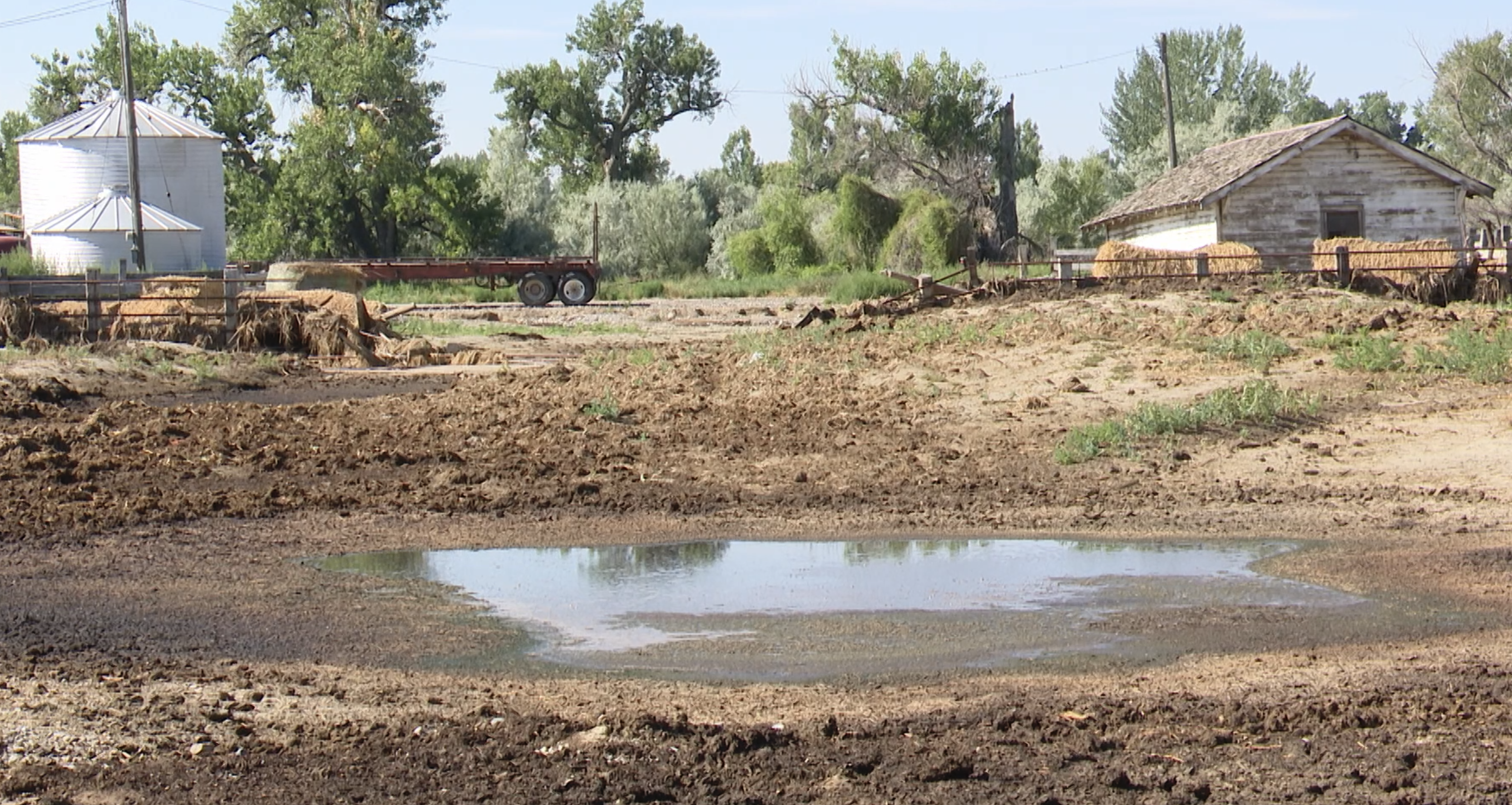 Montana business group gets look at regional flood damage - Vimarsana News