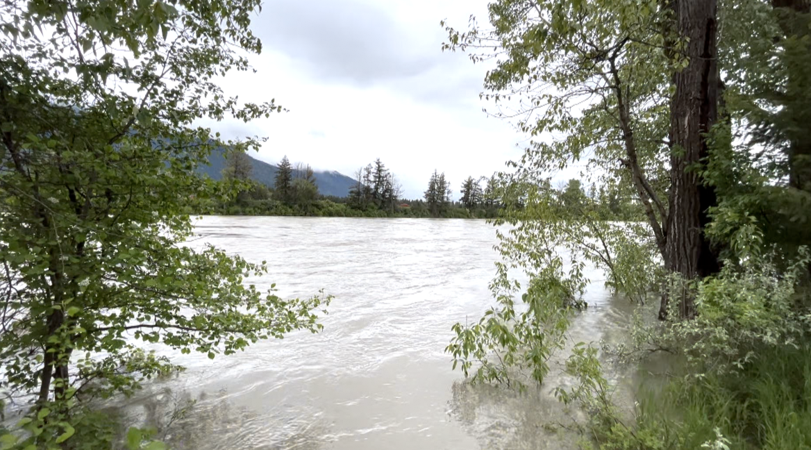 Flathead River