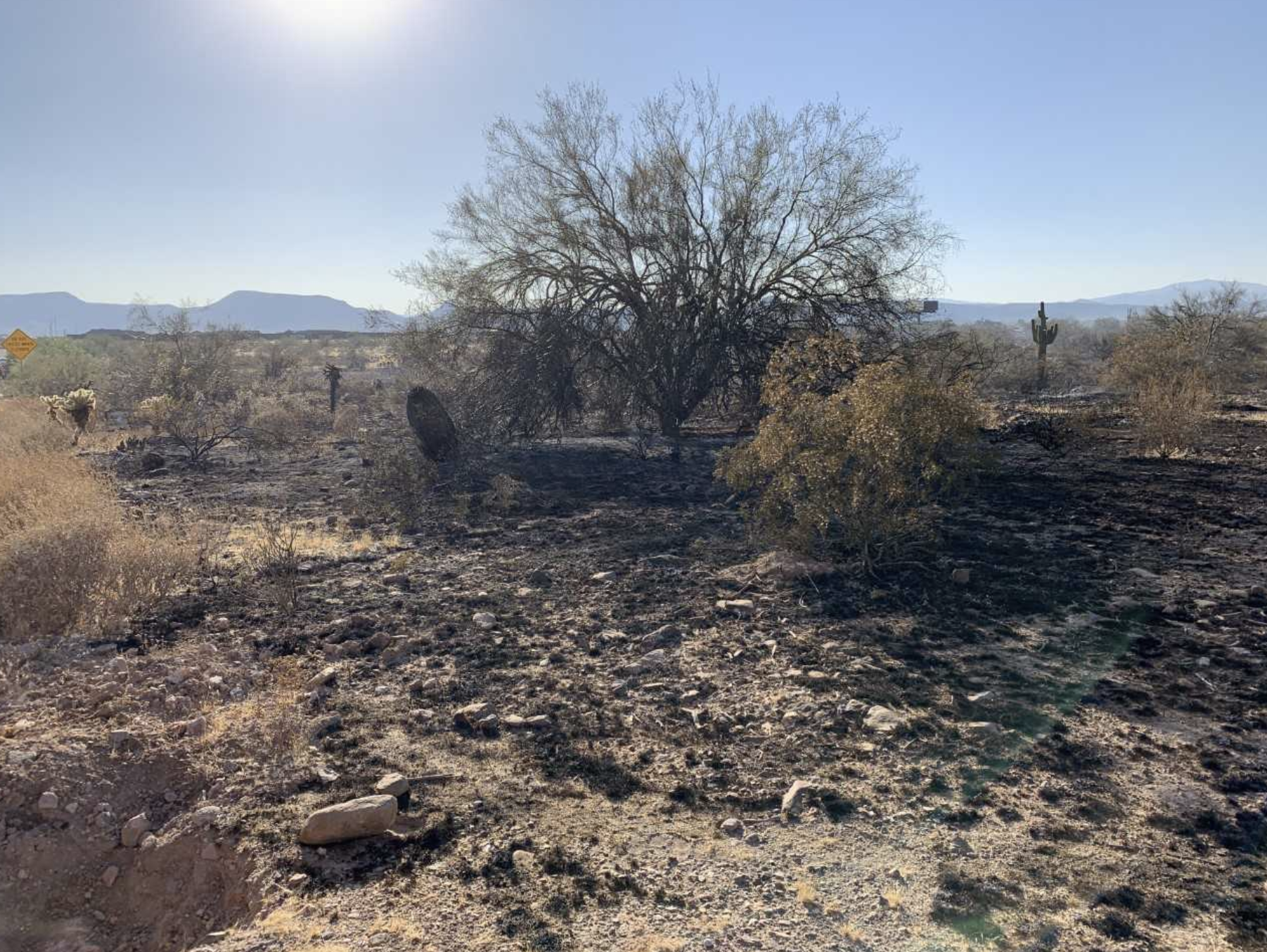 KNXV Brush fire in Anthem 