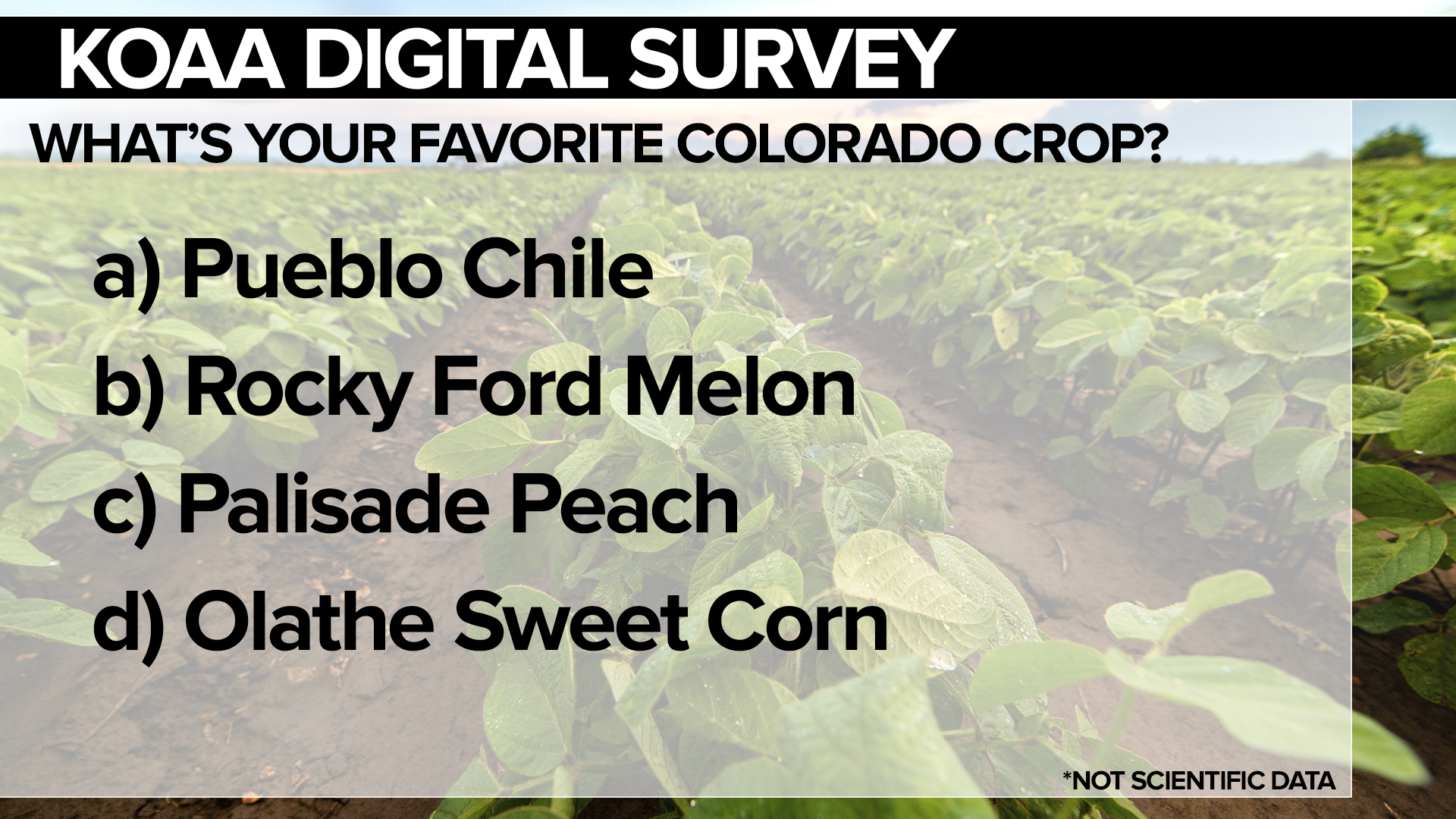 SURVEY Crop FSG.jpg