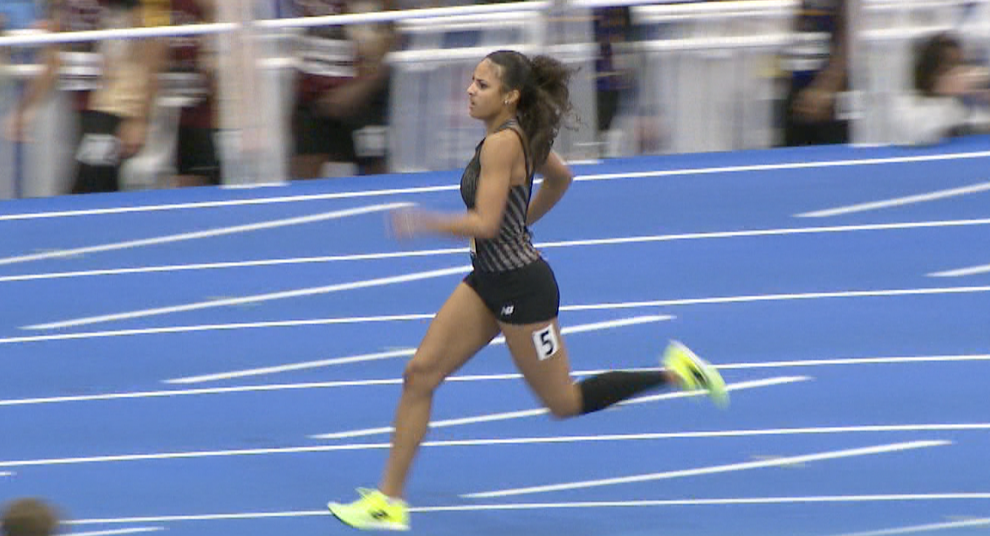 SOPHIE RAMBO GRASSFIELD