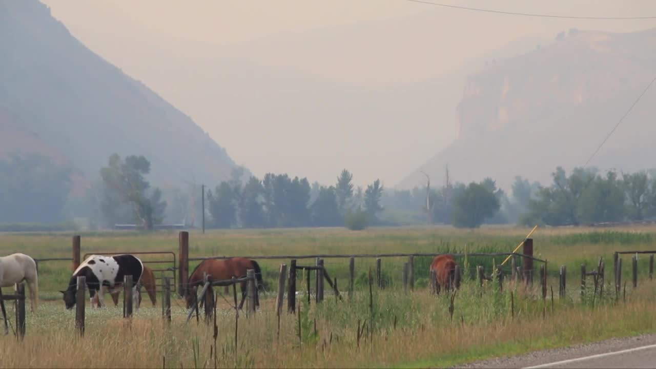 Wildfire Smoke