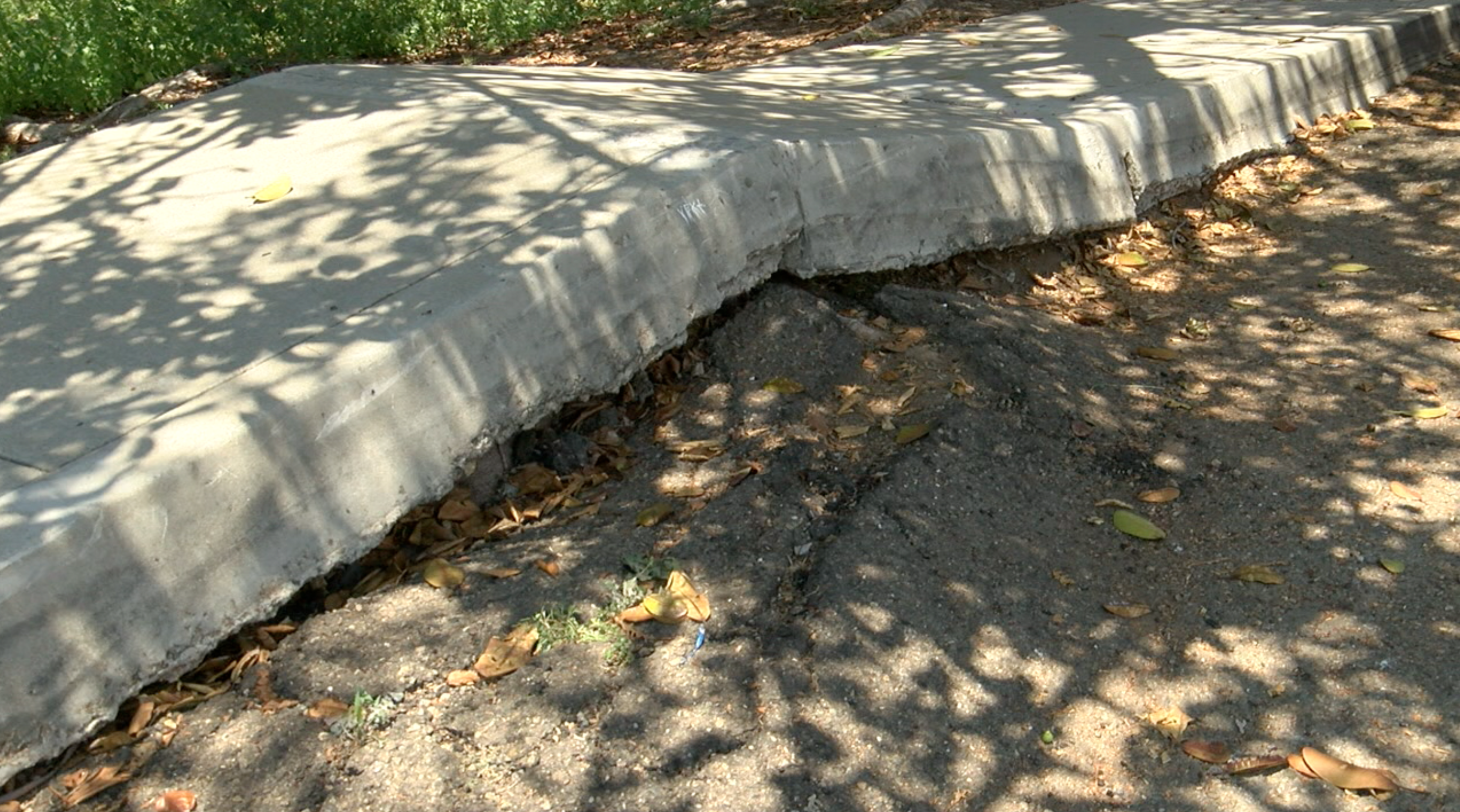 Screen Shot 2019-07-24 at 3.15.30 PM.png