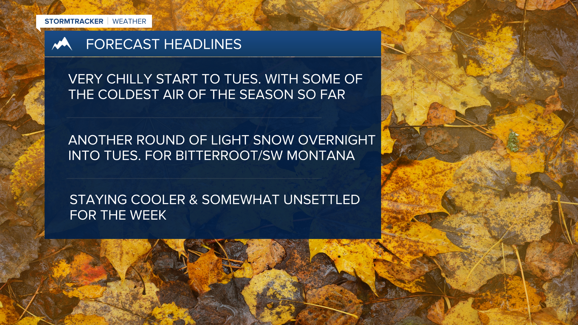 WX Headlines