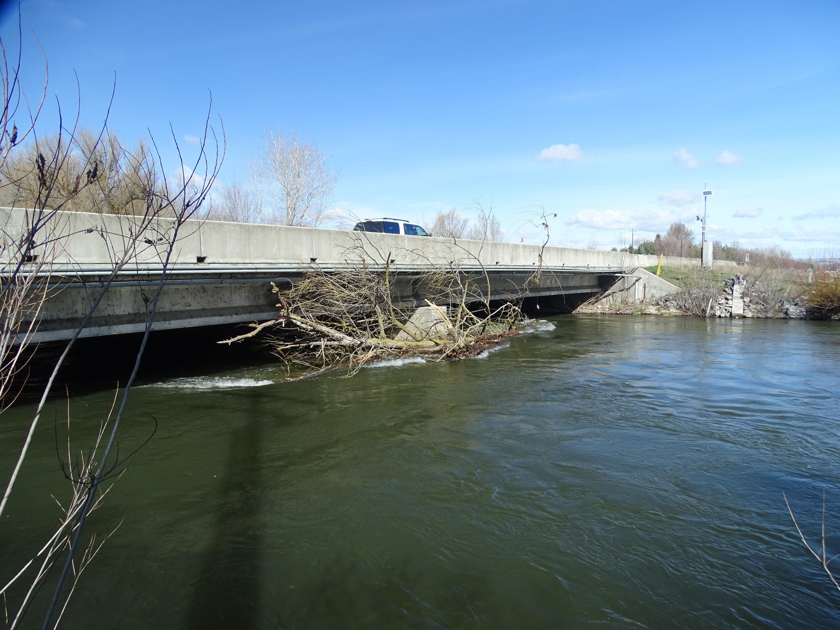 Debris caught by Eagle Road bridge.jpg