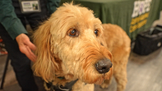 Screen Shot 2025-11-01 at 6.42.33 PM.png