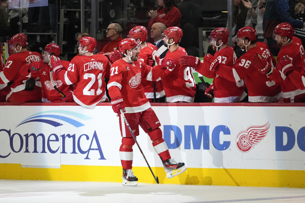 Sabres Red Wings Hockey