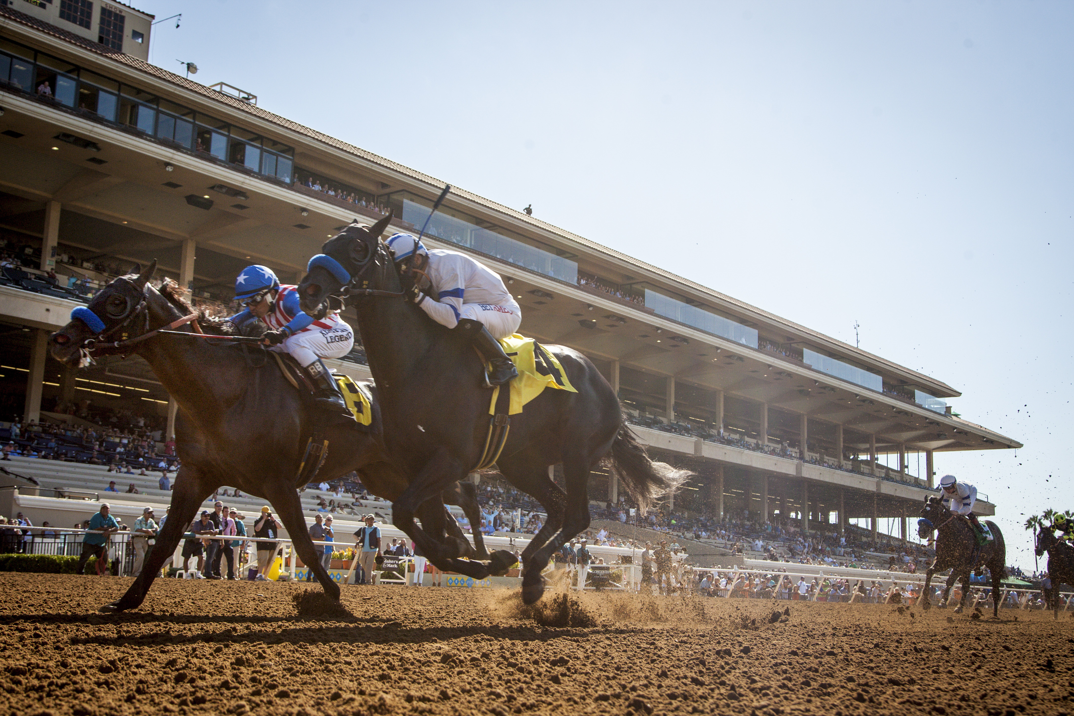 Racing_SingleHorse_LowView.jpg