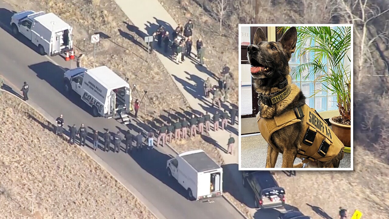 CO School of Mines K9 Graffit