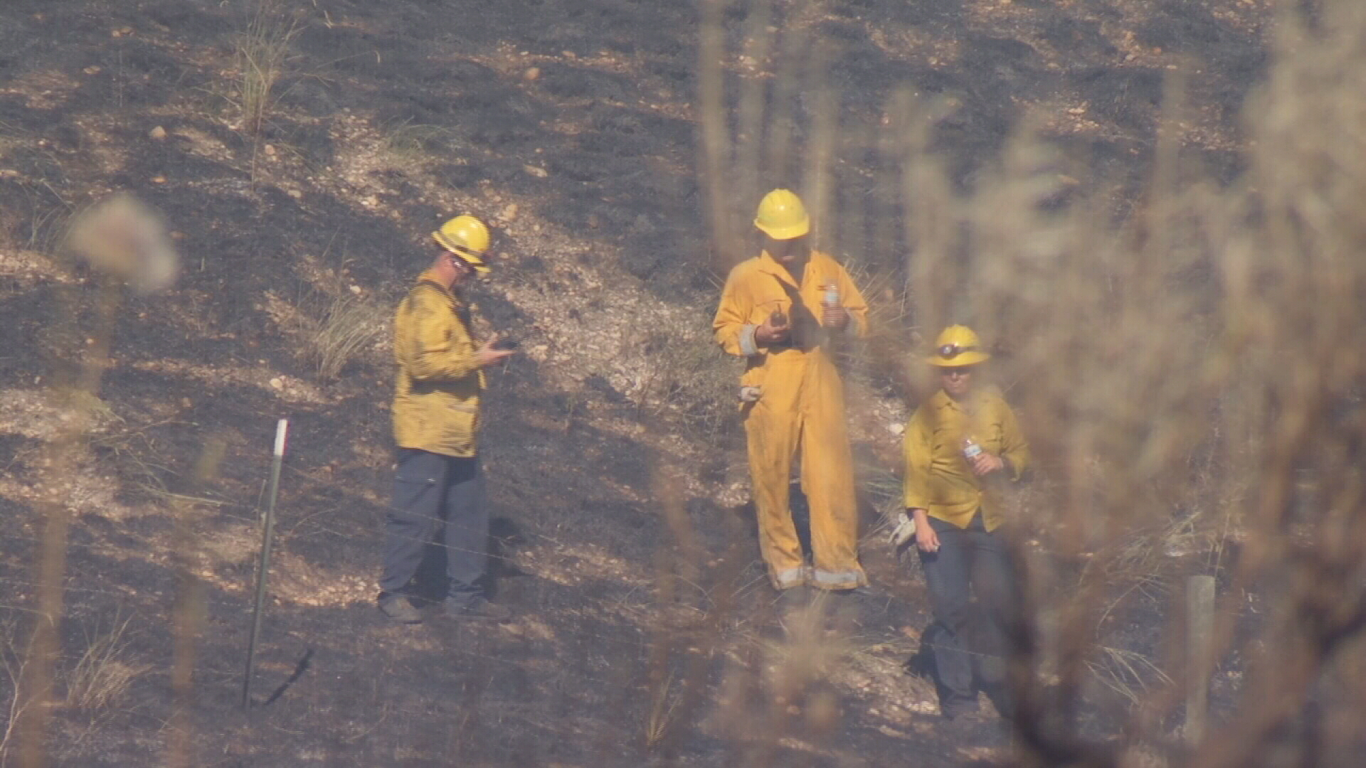 DNRC firefighters.jpg