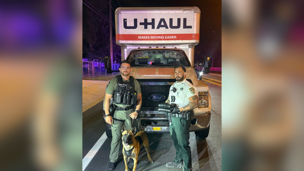 Hillsborough County cocaine bust