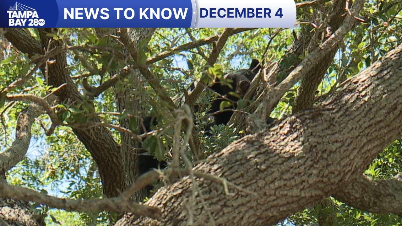 News to Know for Dec. 4