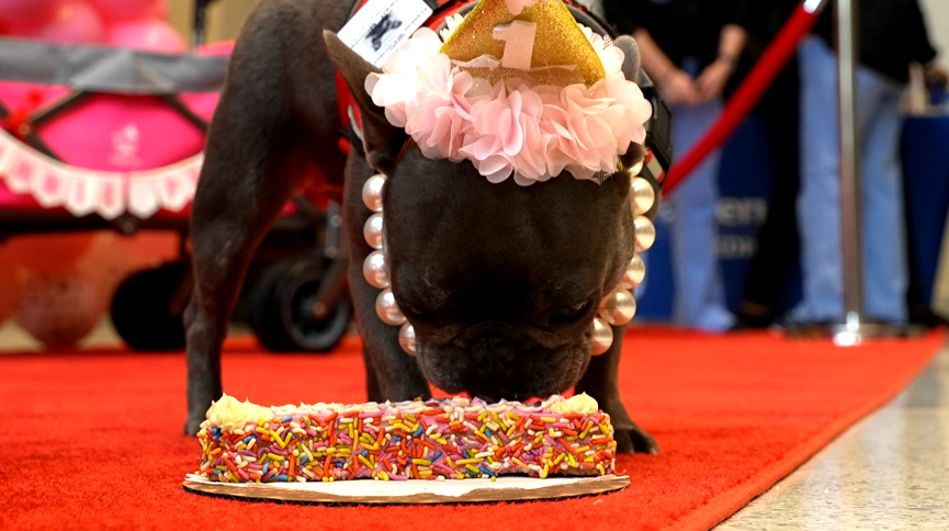 Minnie Pearl TriStar.png