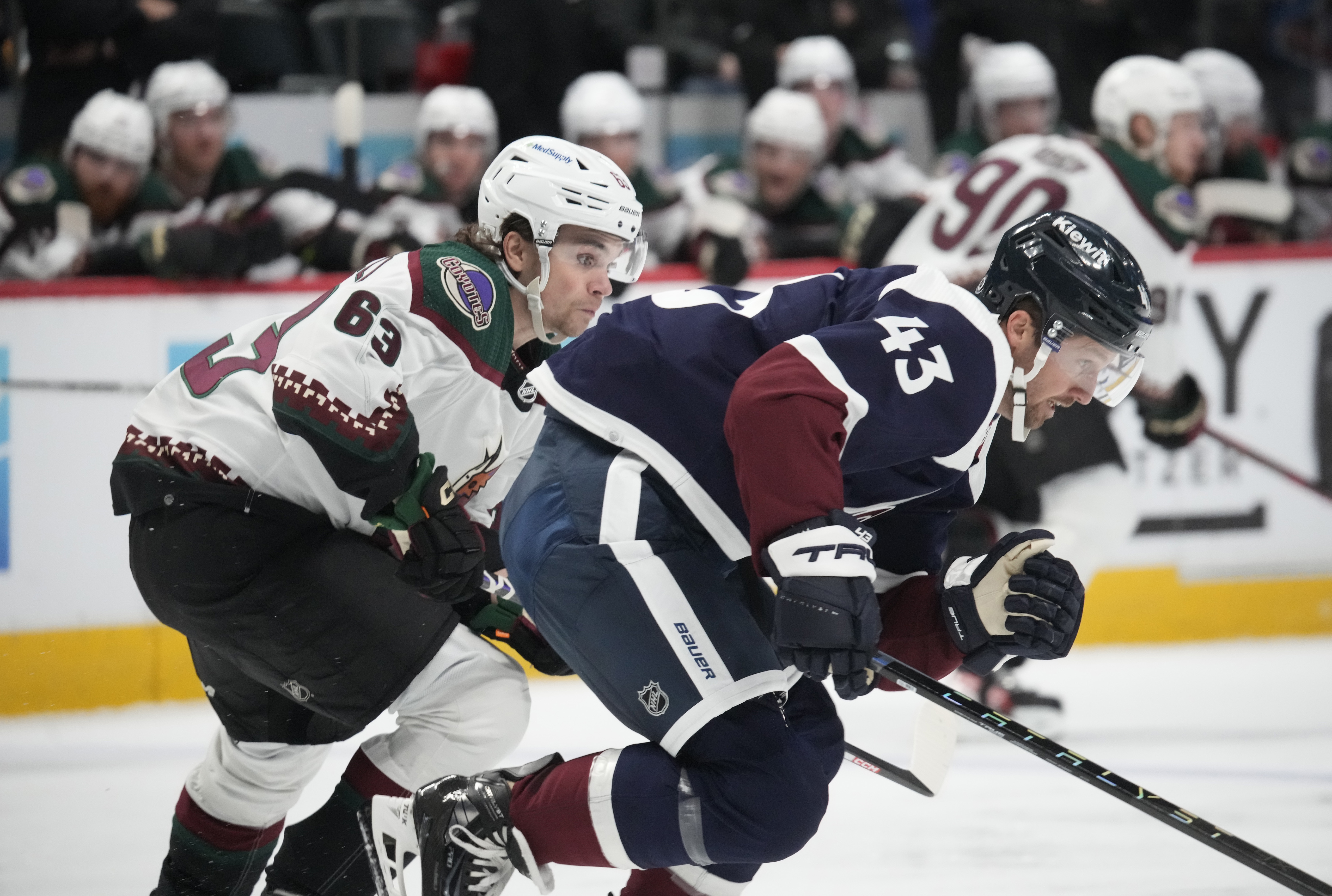 Coyotes Avalanche Hockey