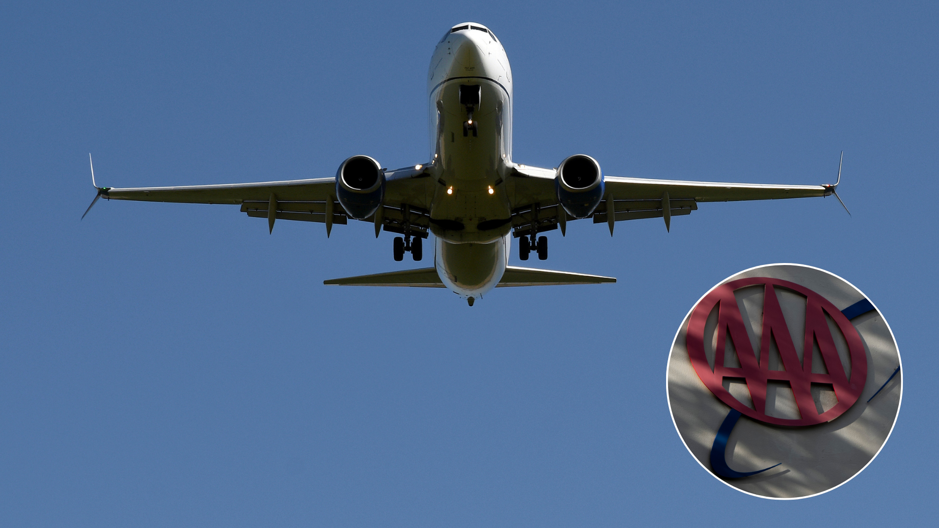 mugshot template  - 2025-11-17T134753.156.png