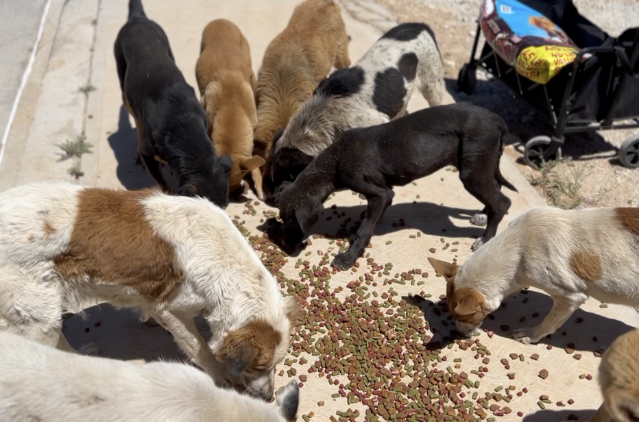 Screenshot 2025-10-02 at 4.31.44 AM.png