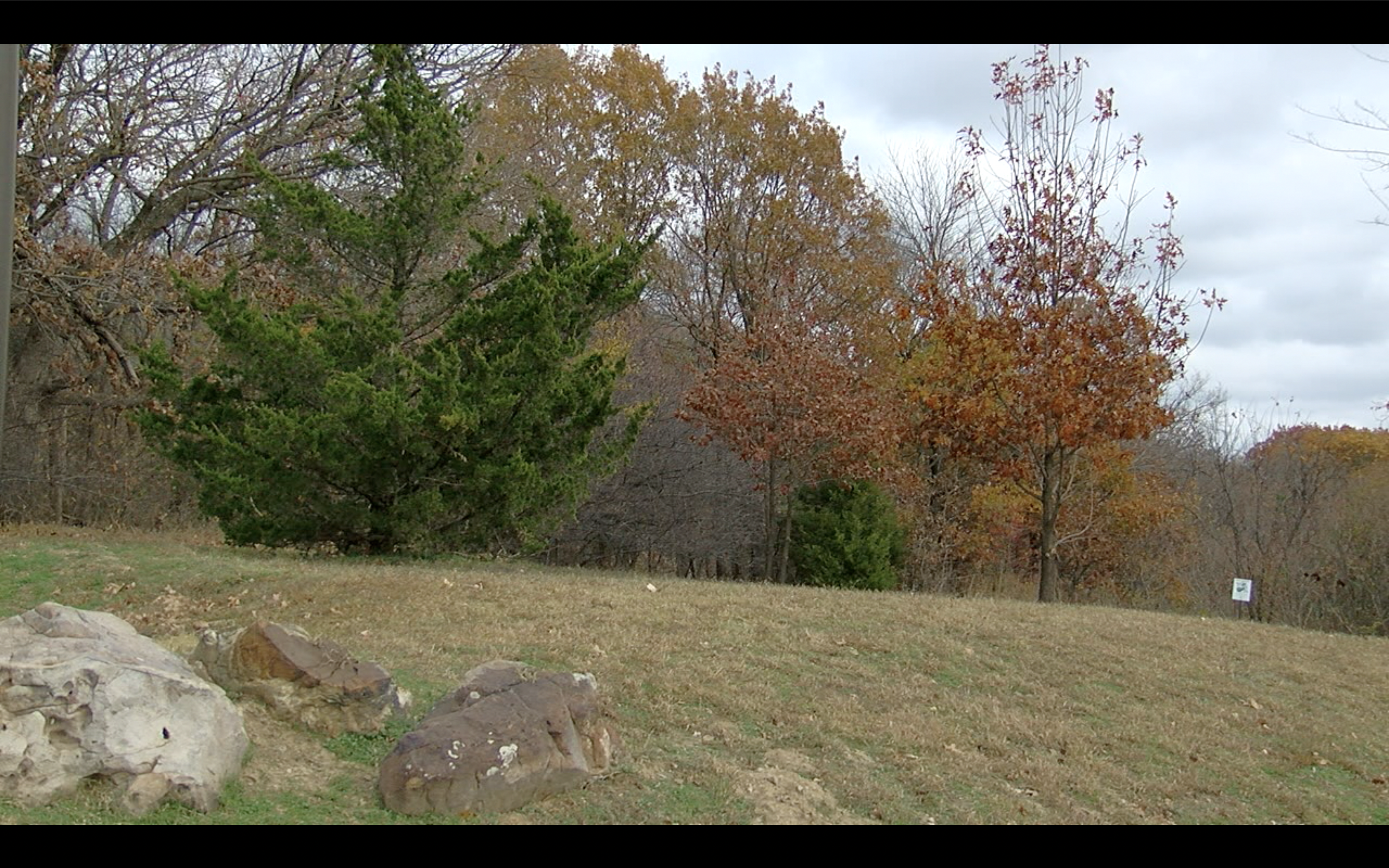 Turkey Mountain 