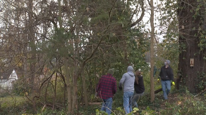 invasive plants.PNG