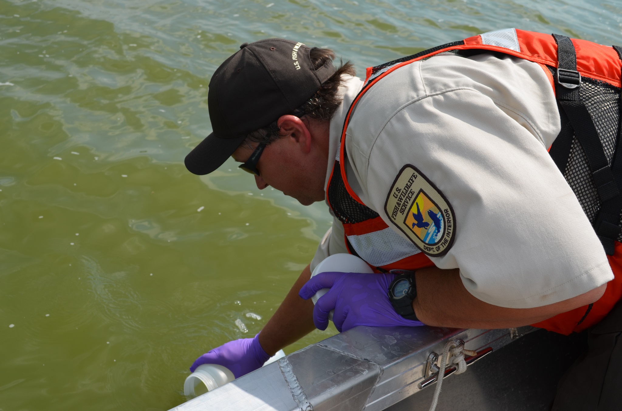 eDNA sample large.jpeg