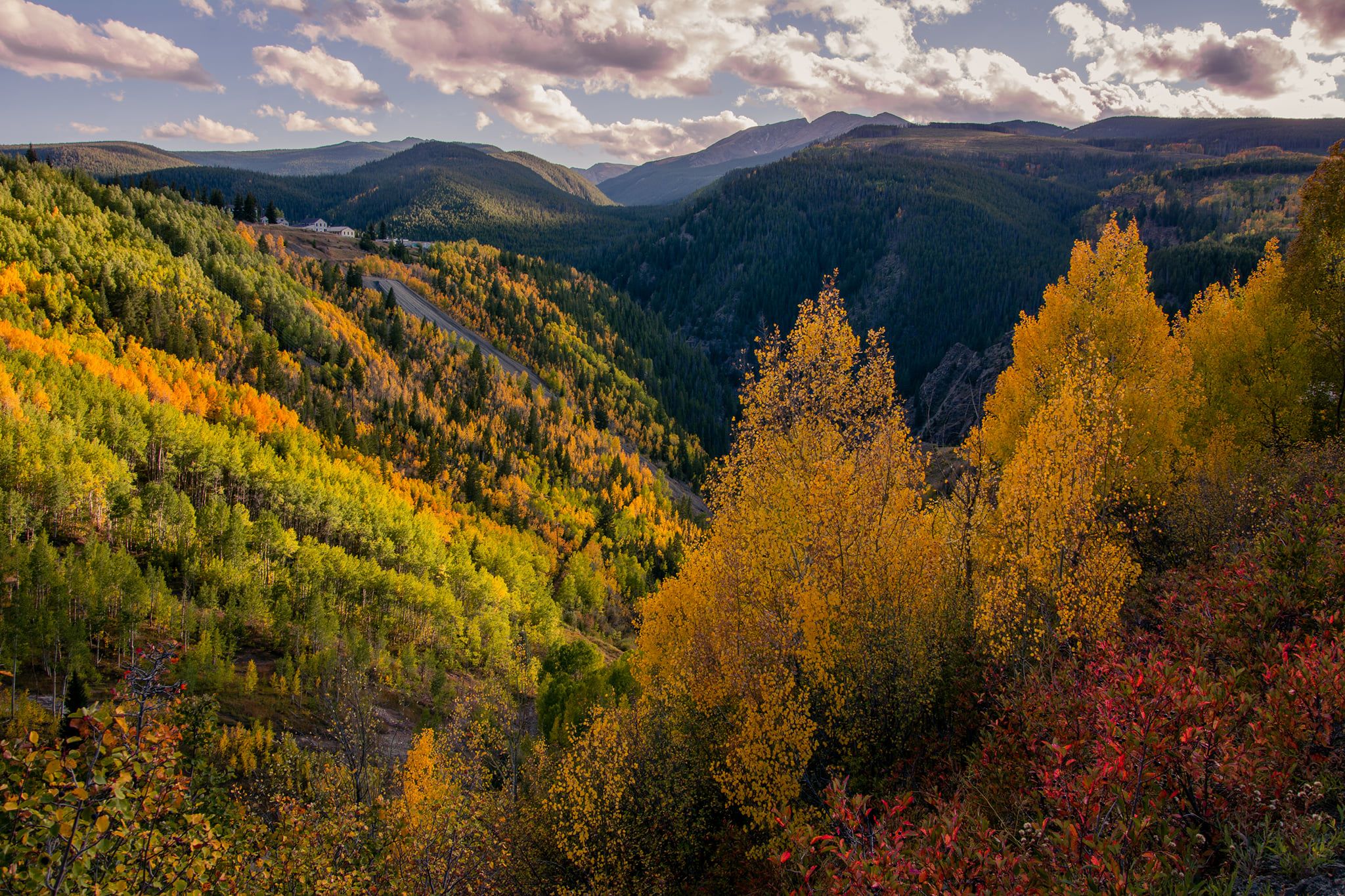 coloradofallcolorbriggsearly.jpg